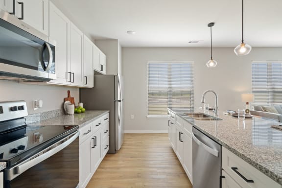 Kitchen with Luxury Vinyl Wood Flooring