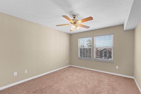 Bedroom with Plush Carpeting