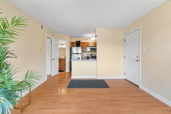 Spacious Living Area With Wood-Style Flooring