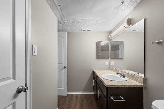 Bathroom With Wood-Style Flooring