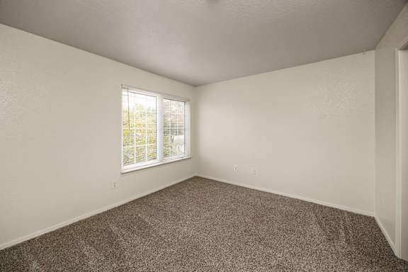 Bedroom with Plush Carpeting