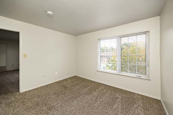 Bedroom with Abundant Natural Light