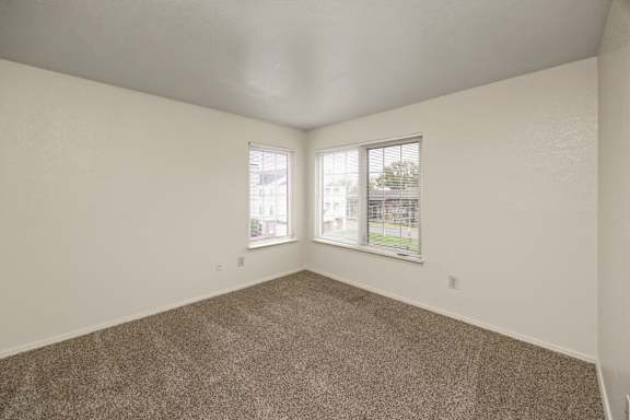 Bedroom with Plush Carpeting