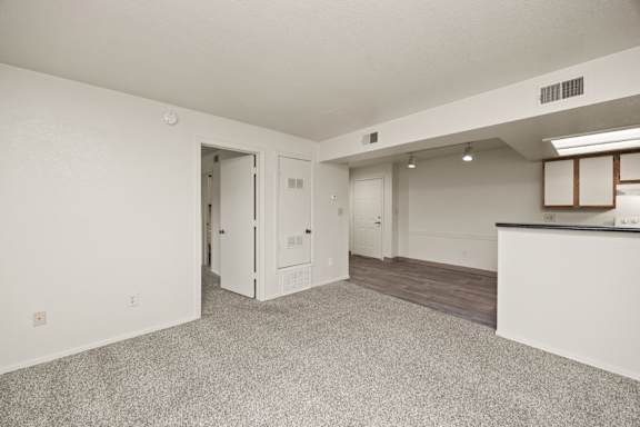Spacious Living Area with Carpet