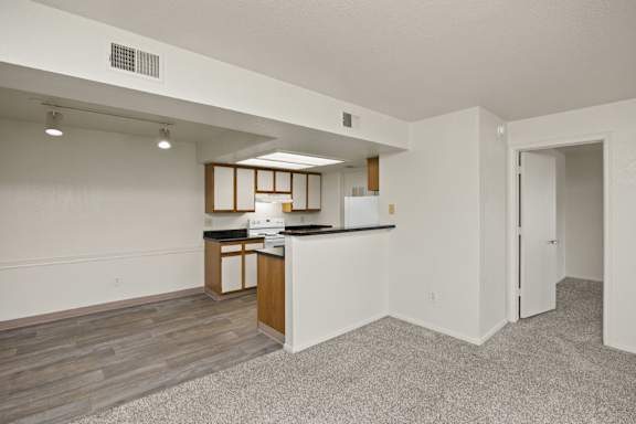 Kitchen with Wood-Style Flooring