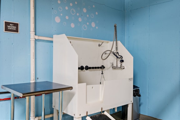 Pet Wash Station