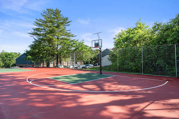 Basketball Court