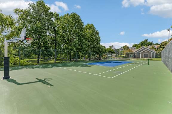 A basketball & tennis court is surrounded by trees and has a blue court in the middle.