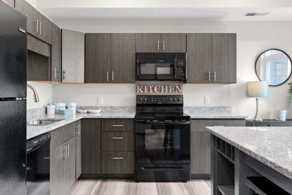 Kitchen with Black Appliances