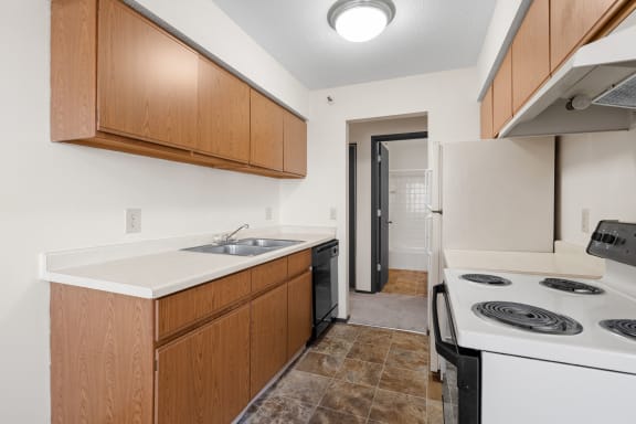 Kitchen with Wood Cabinets