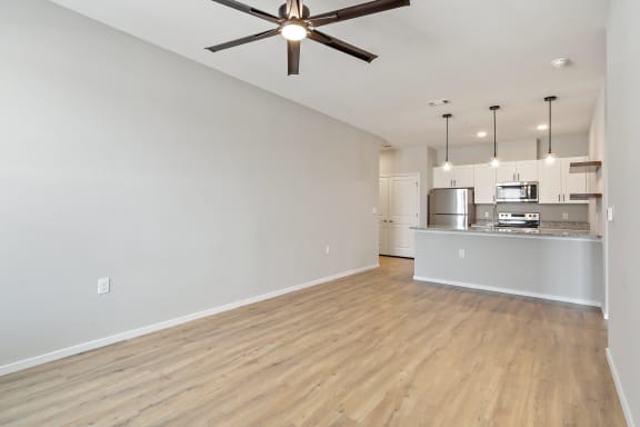 Spacious Living Area With Wood-Style Flooring