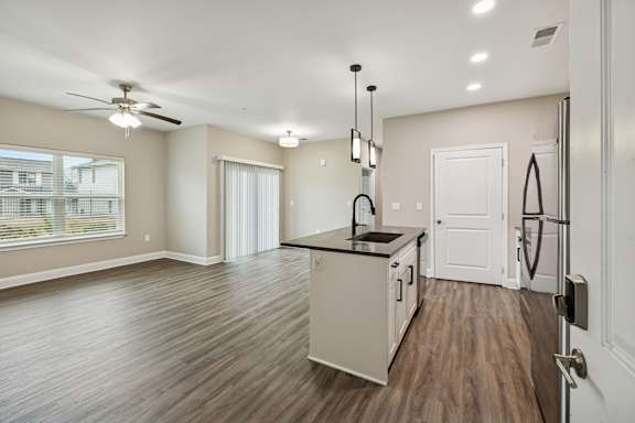 Spacious Living Area With Wood-Style Flooring
