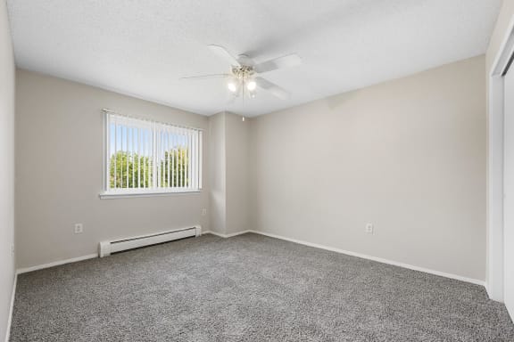 Bedroom with Plush Carpeting