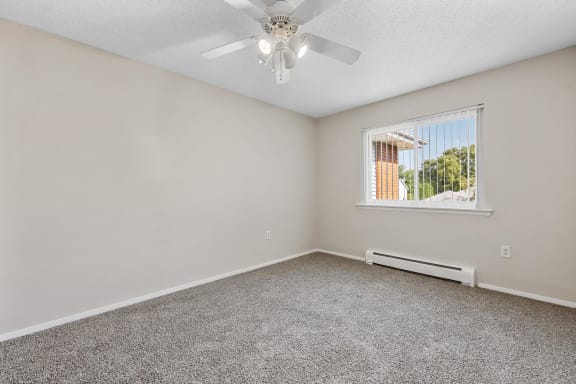 Bedroom with Plush Carpeting