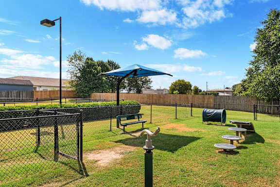Dog Park with Equipment