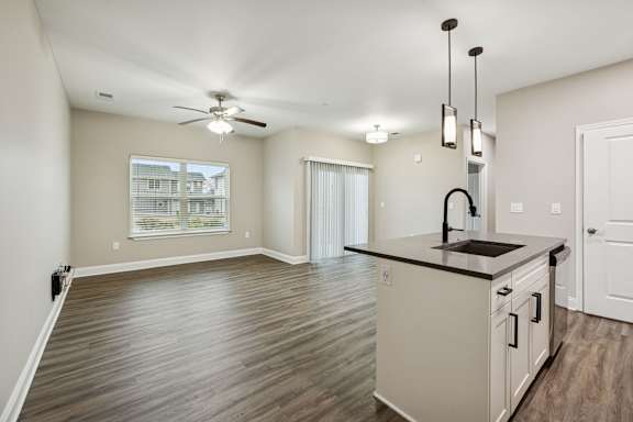 Spacious Living Area With Wood-Style Flooring