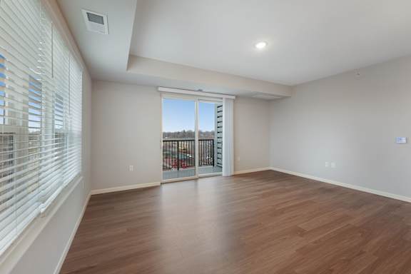 Spacious Living Area With Wood-Style Flooring
