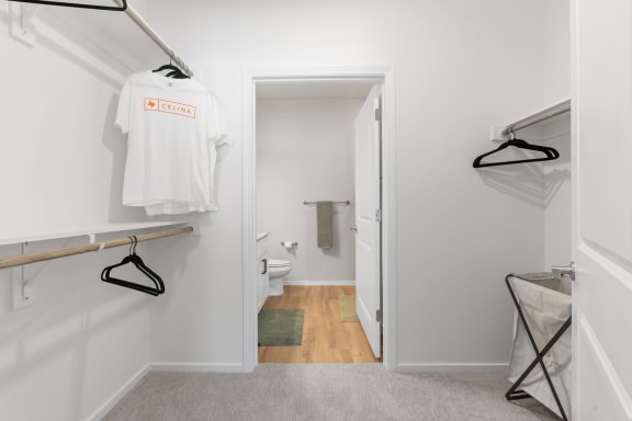 Walk-In Closet With Built-In Shelving