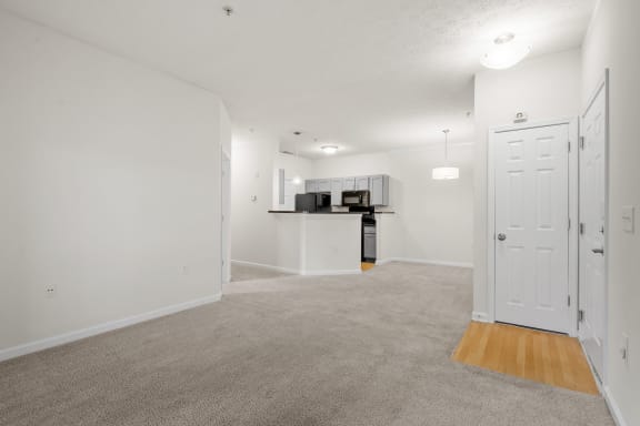 Spacious Living Area with Carpet