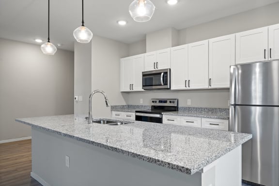 Kitchen with Premium Fixtures and Finishes