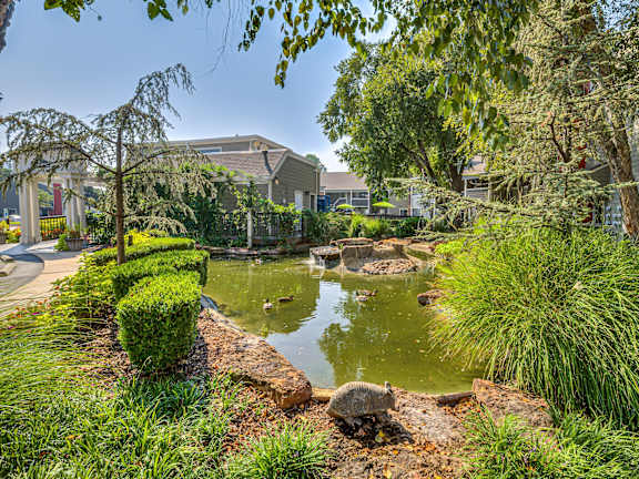 The Lakes Duck Pond