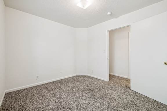 Bedroom with Plush Carpeting