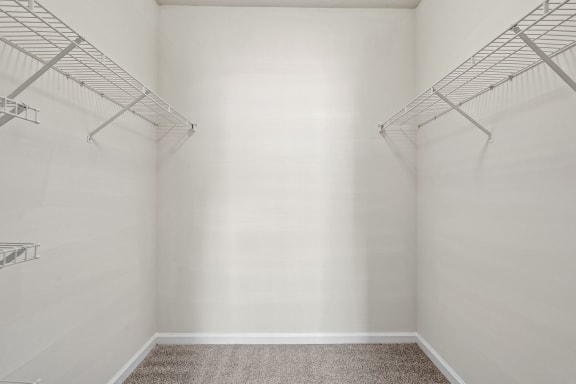 Walk-In Closet With Built-In Shelving