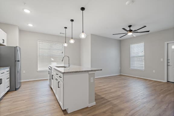 Spacious Living Area With Wood-Style Flooring