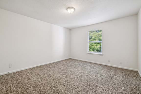 Bedroom with Plush Carpeting