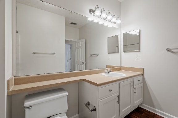 Bathroom with Expansive Counter