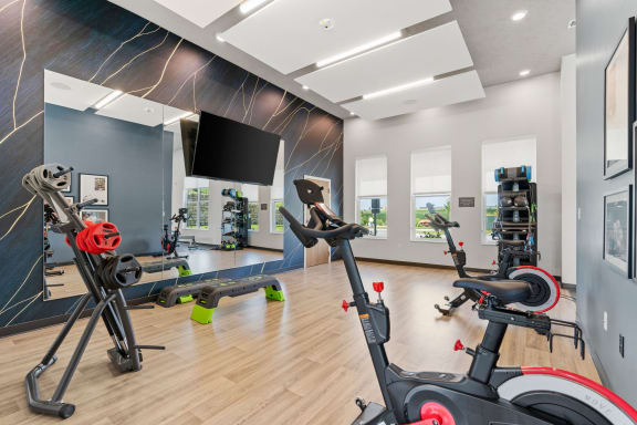 Studio Room with Cycling Equipment