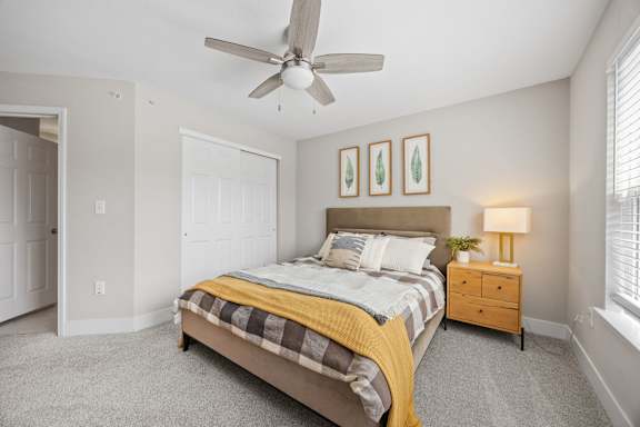 A bedroom with a bed, a ceiling fan, and a lamp.