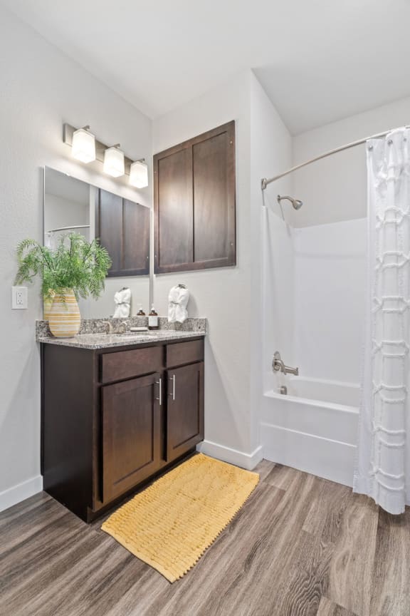 Bathroom With Wood-Style Flooring