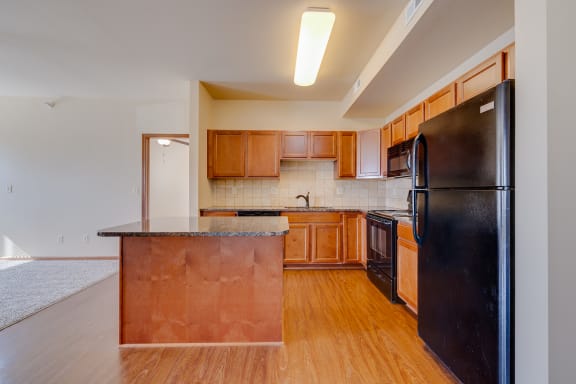 Kitchen with Black Appliances