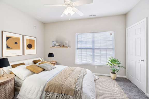 Bedroom with Plush Carpeting
