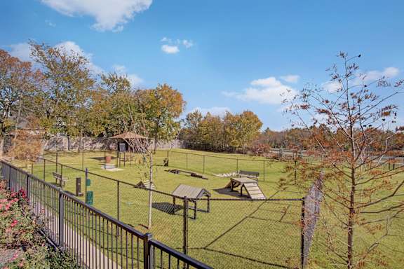 Dog Park
