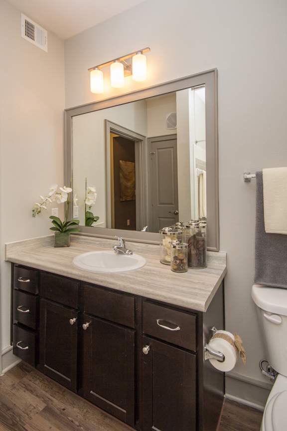 Bathroom with Modern Finishes