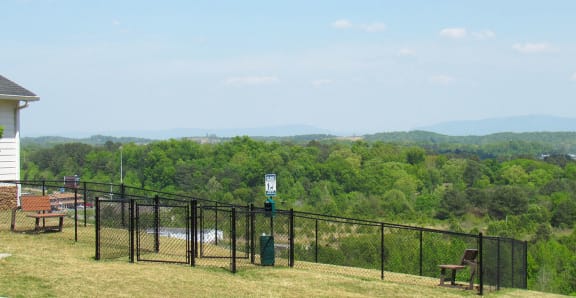 On-Premise Dog Park
