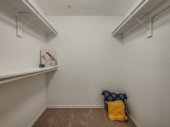 Walk-In Closet With Built-In Shelving