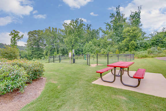 Fenced-In Dog Park