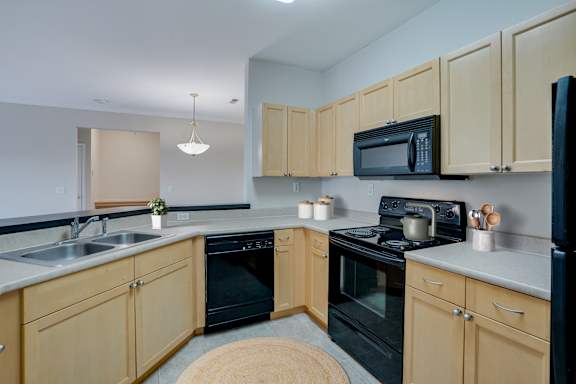 Kitchen with Black Appliances