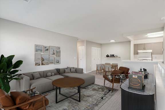 Spacious Living Area with Carpet