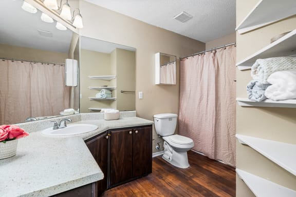 Large Bathroom With Wood-Style Flooring & Large Countertop