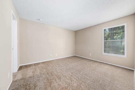 Carpeted Bedroom With Large Window
