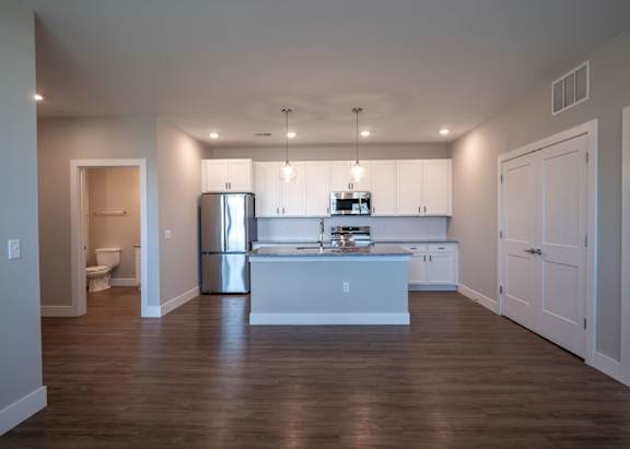 Spacious Living Area With Wood-Style Flooring