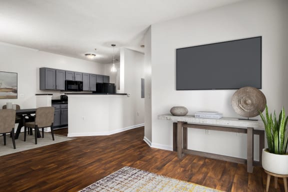 Open Concept Living