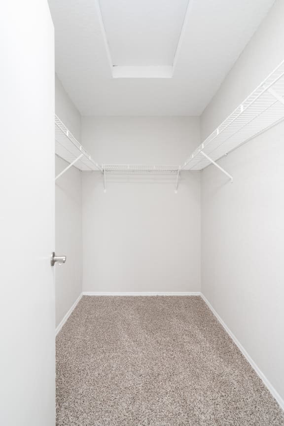 Large Closets with Shelves