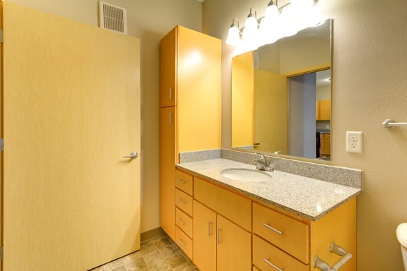 Granite Bathroom Vanity with Storage