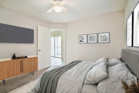 Bedroom with Plush Carpeting