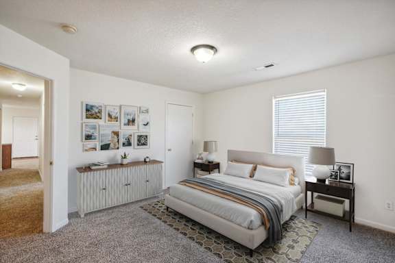 Bedroom with Plush Carpeting